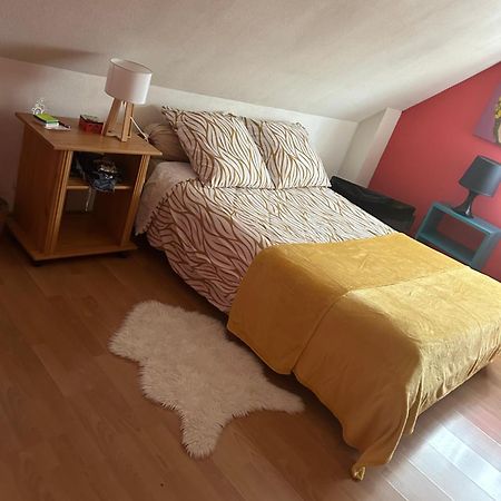 Chambre D Hote Maison Privee Kingersheim Luaran gambar